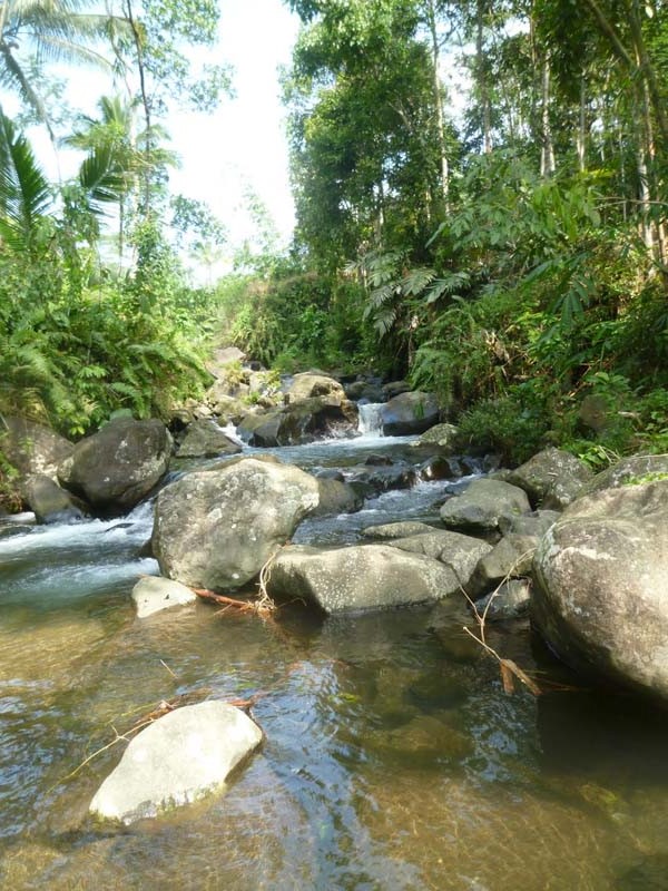 Kali Cimanggis yang telah dibaptis menjadi Sungai Kerit