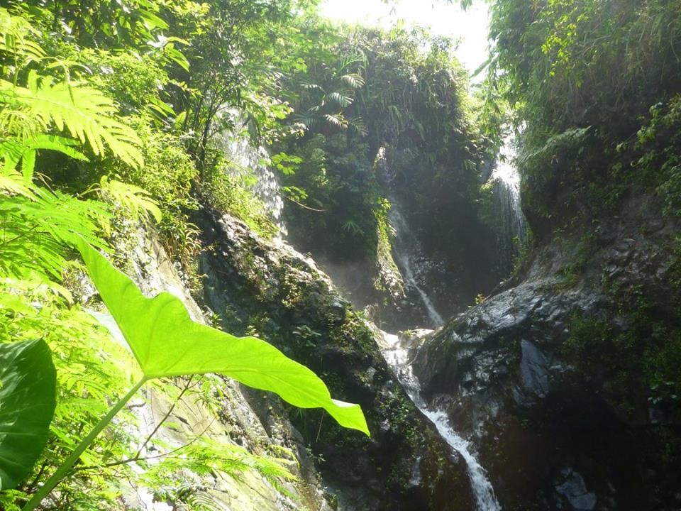 Melestarikan alam dengan menanam pohon guna menjaga kesinambungan air curug yang ada